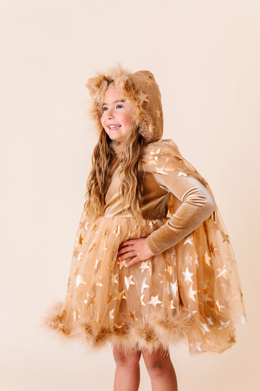 Lion costume