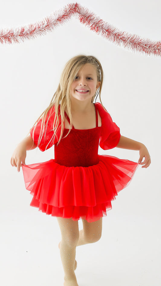 Red velvet & mesh dress