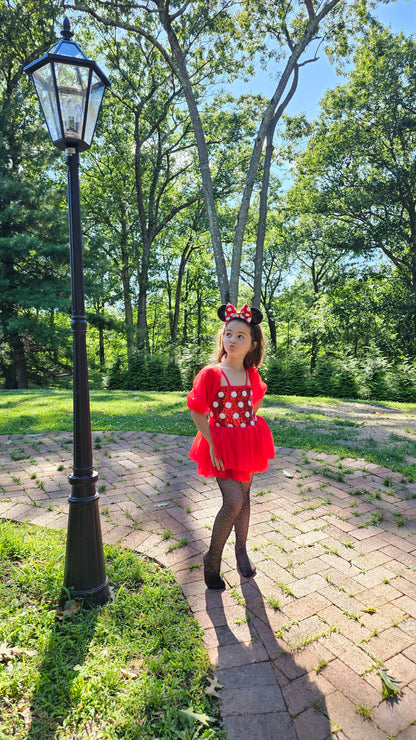 Fancy Mouse Dress & Headband