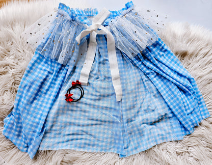 Fancy Dorothy costume