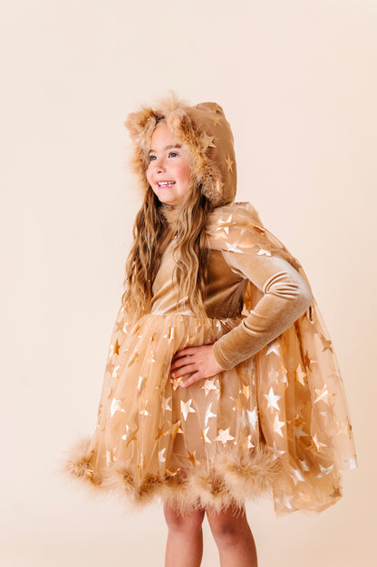 Lion costume