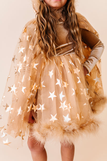 Lion costume