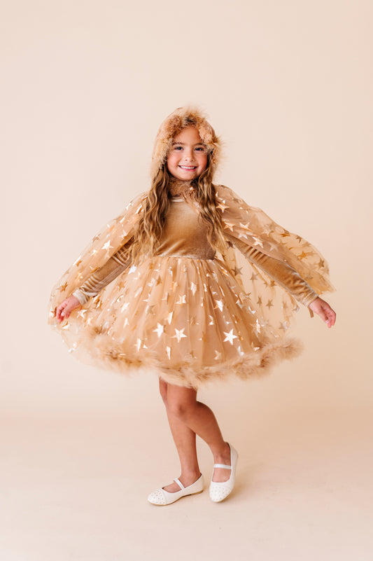 Lion costume
